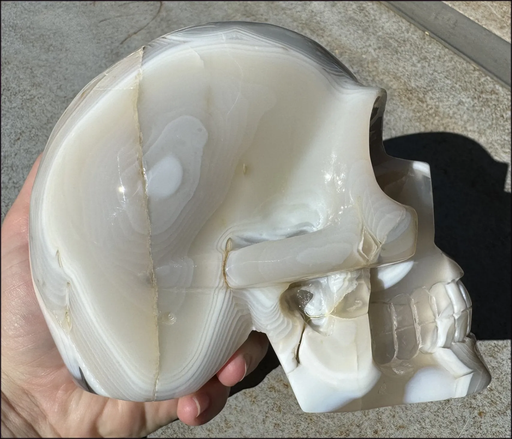 LifeSize Madagascar AGATE Crystal Skull with Fantastic Banding, Bi-Colored Dendritic inclusions