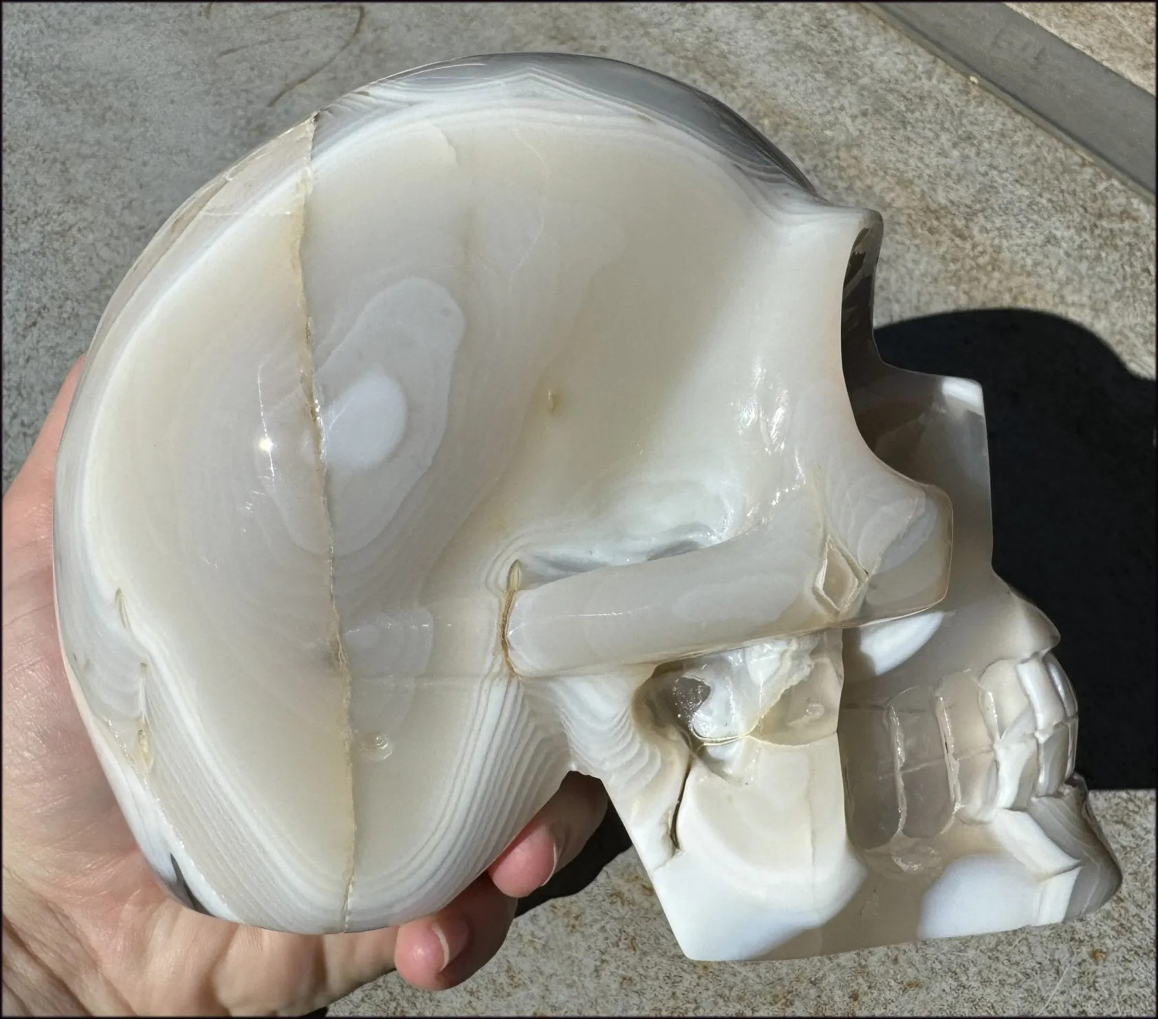 LifeSize Madagascar AGATE Crystal Skull with Fantastic Banding, Bi-Colored Dendritic inclusions