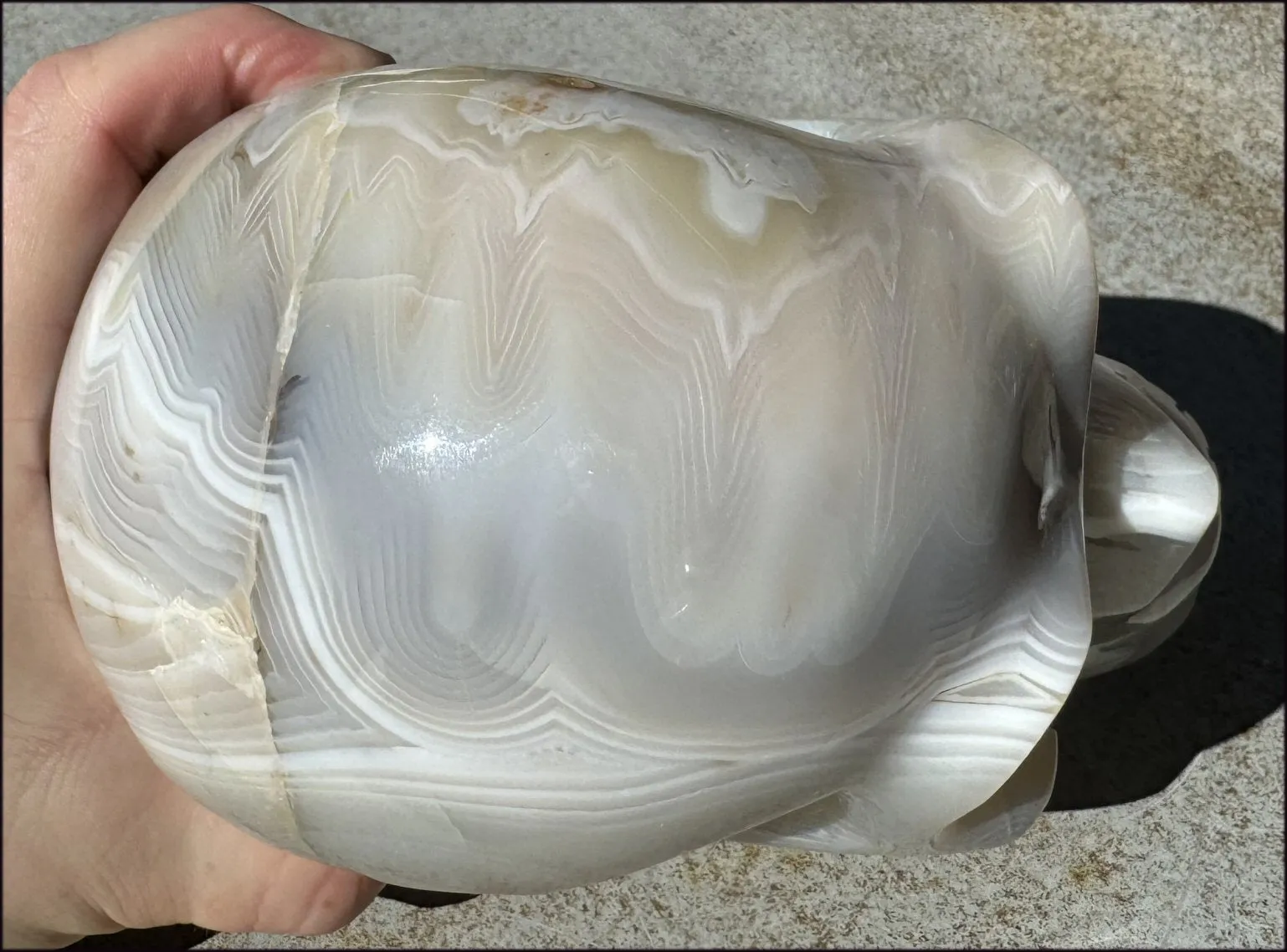 LifeSize Madagascar AGATE Crystal Skull with Fantastic Banding, Bi-Colored Dendritic inclusions