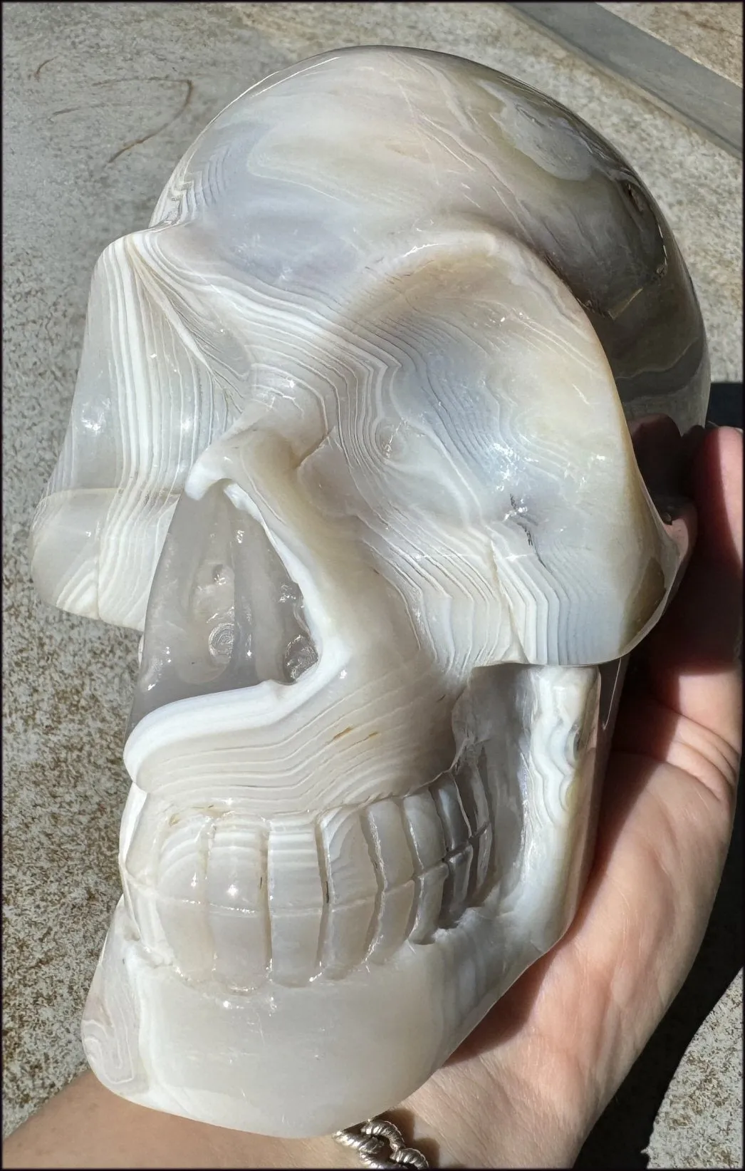 LifeSize Madagascar AGATE Crystal Skull with Fantastic Banding, Bi-Colored Dendritic inclusions