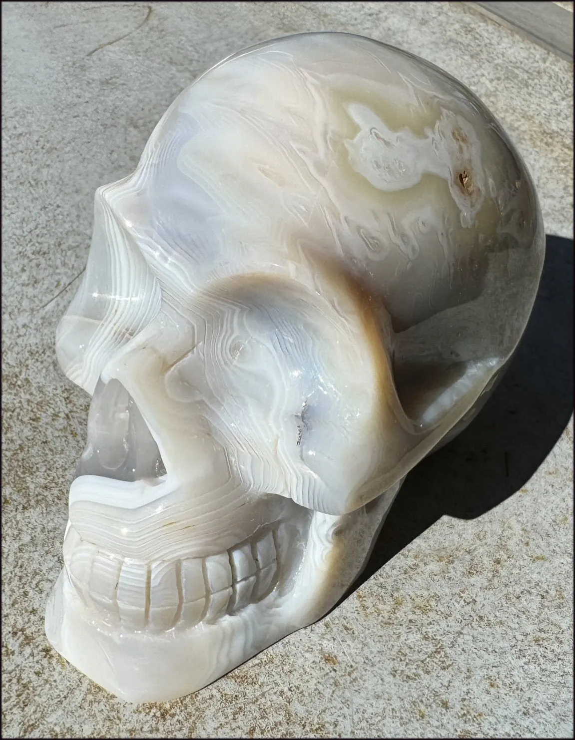LifeSize Madagascar AGATE Crystal Skull with Fantastic Banding, Bi-Colored Dendritic inclusions