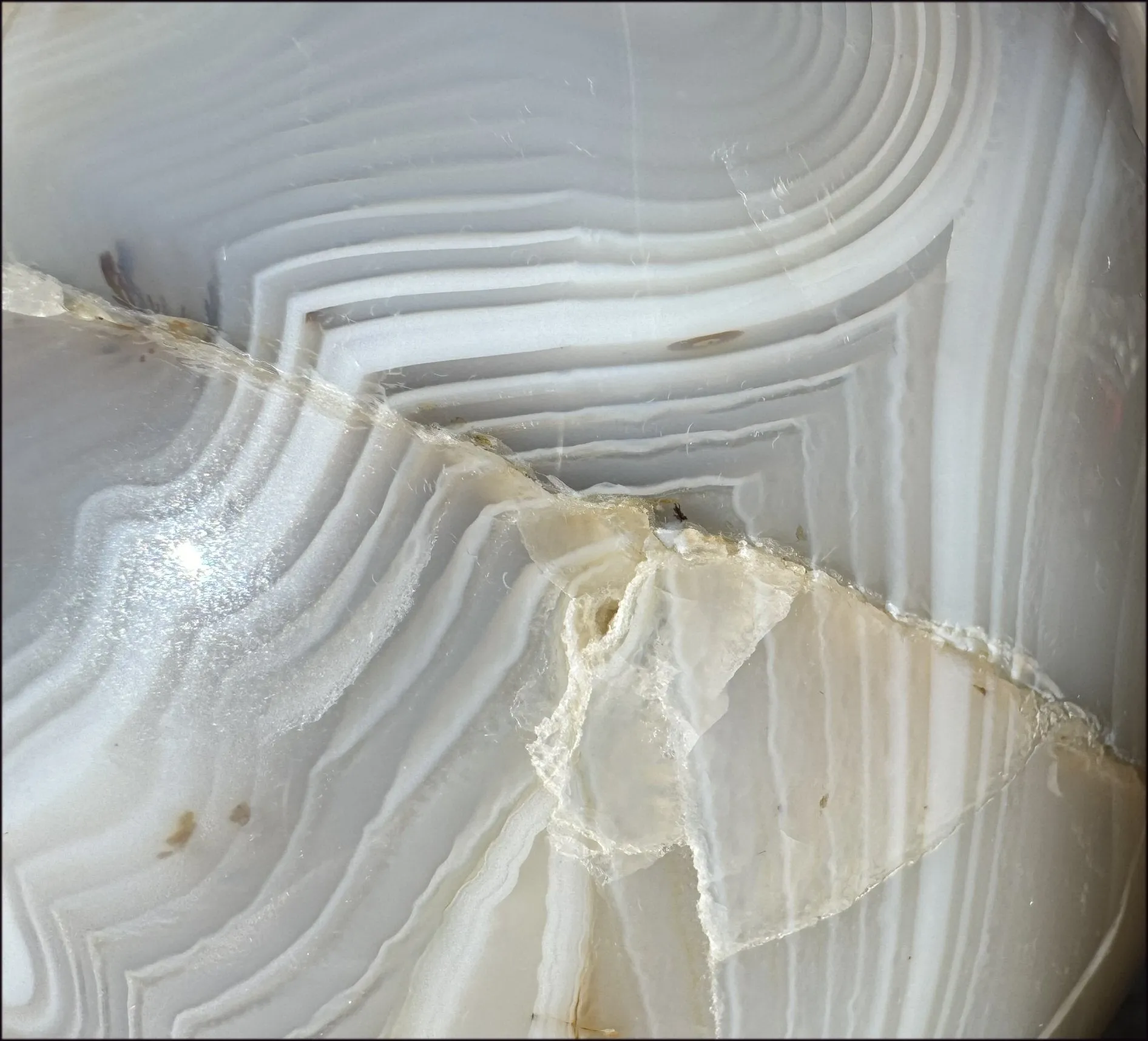 LifeSize Madagascar AGATE Crystal Skull with Fantastic Banding, Bi-Colored Dendritic inclusions