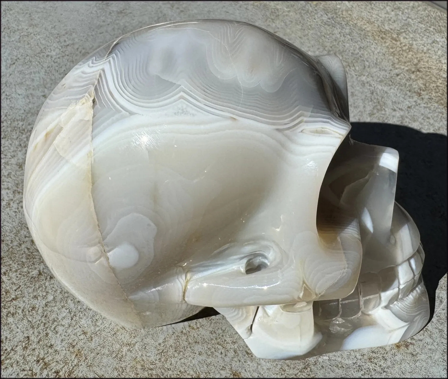 LifeSize Madagascar AGATE Crystal Skull with Fantastic Banding, Bi-Colored Dendritic inclusions