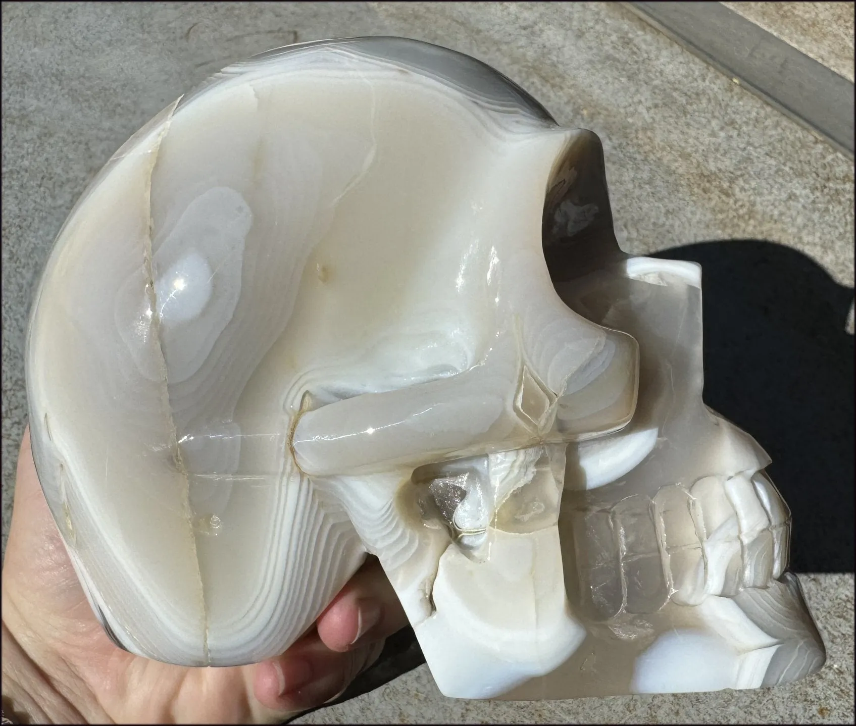 LifeSize Madagascar AGATE Crystal Skull with Fantastic Banding, Bi-Colored Dendritic inclusions