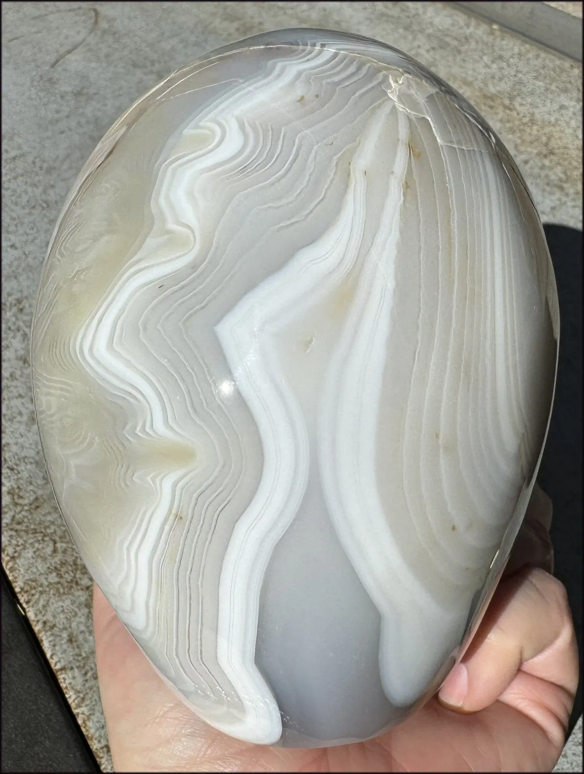LifeSize Madagascar AGATE Crystal Skull with Fantastic Banding, Bi-Colored Dendritic inclusions