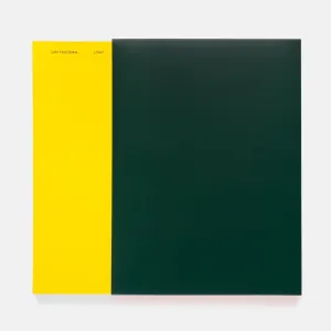 Light (Book)