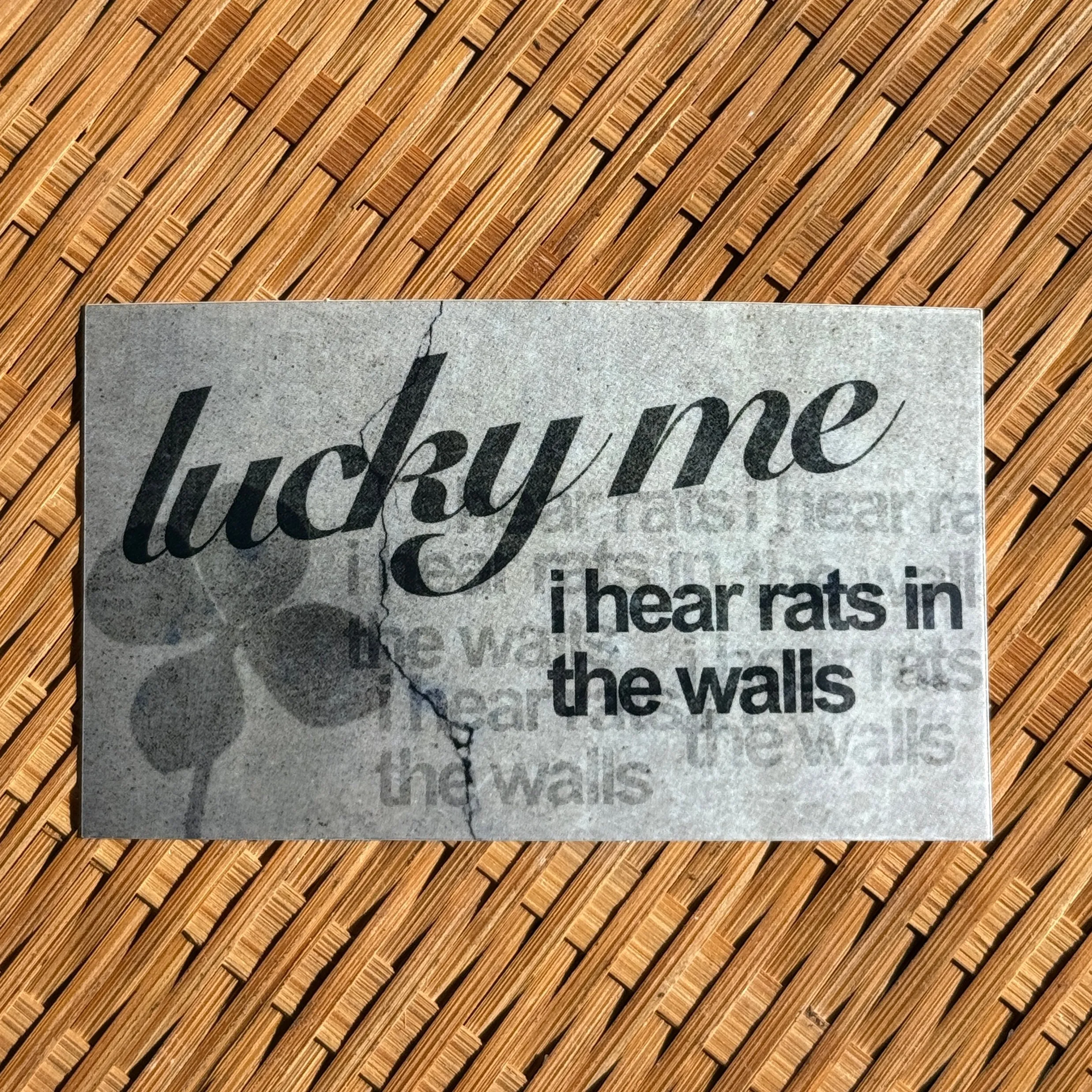 Lucky Me I Hear Rats