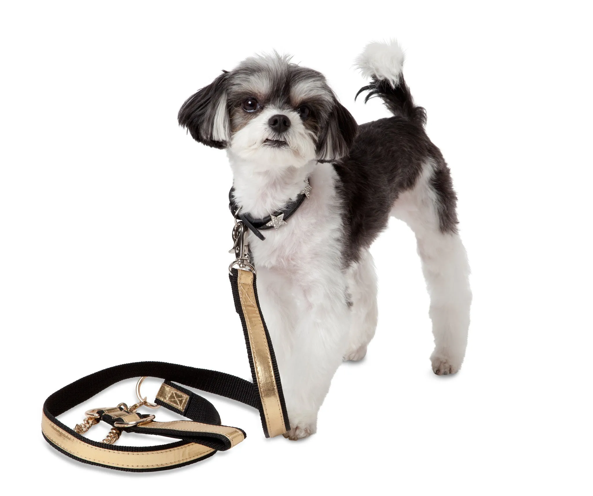 Luxury Dog Leash