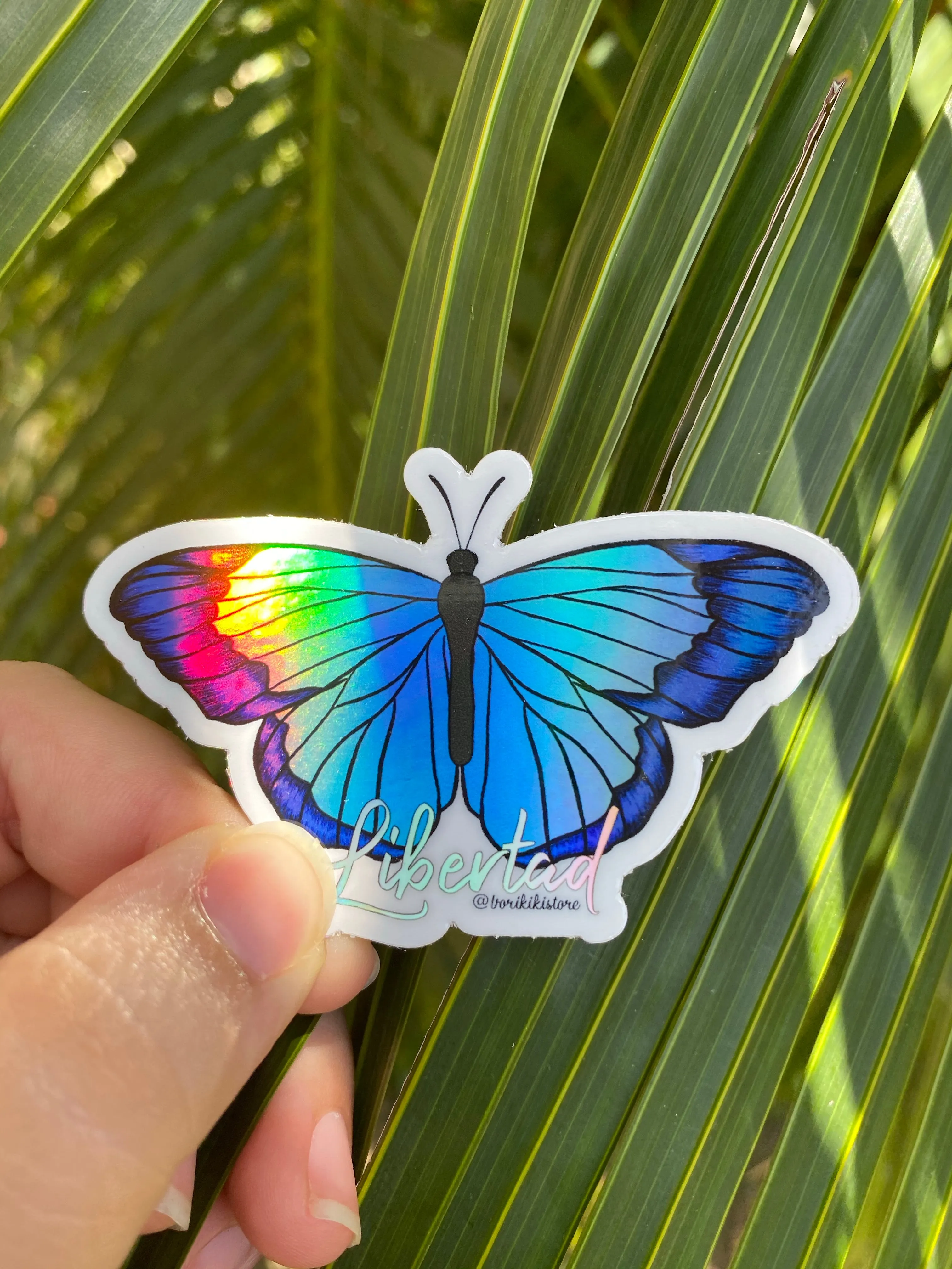 Mariposa Libertad 🦋