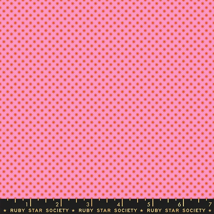 Meadow Star, Puff in Flamingo