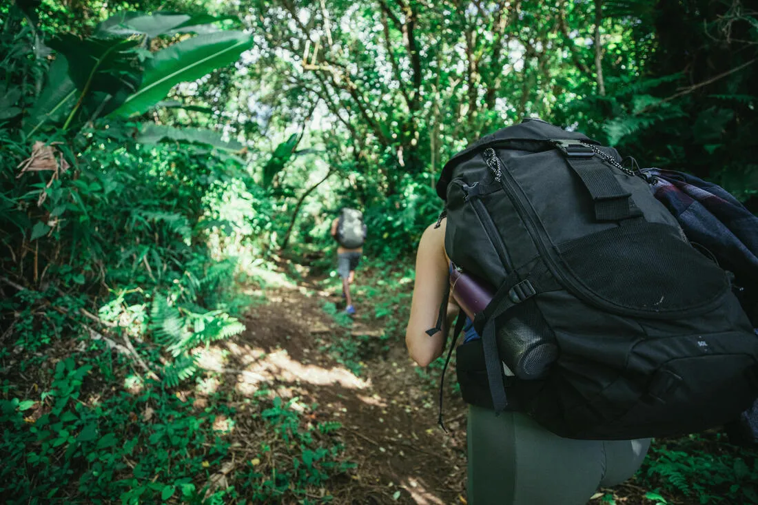 Men’s 50 L Trekking Backpack - MT100