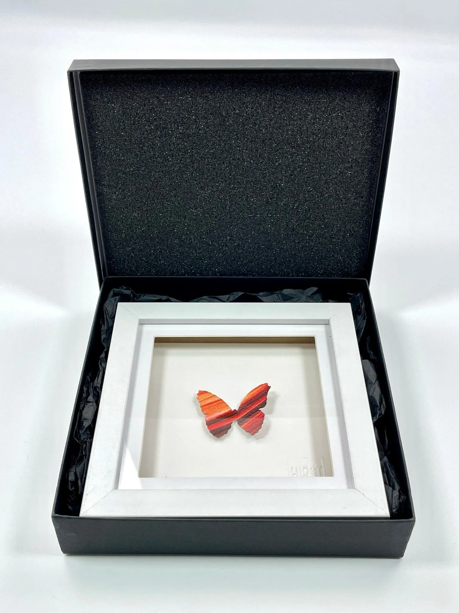 Mini Butterfly #49 (Framed)