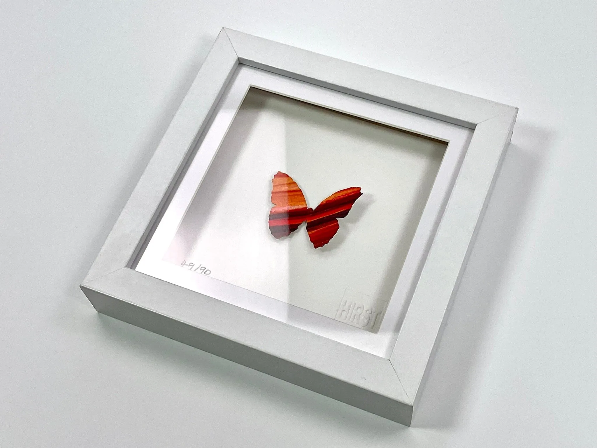 Mini Butterfly #49 (Framed)