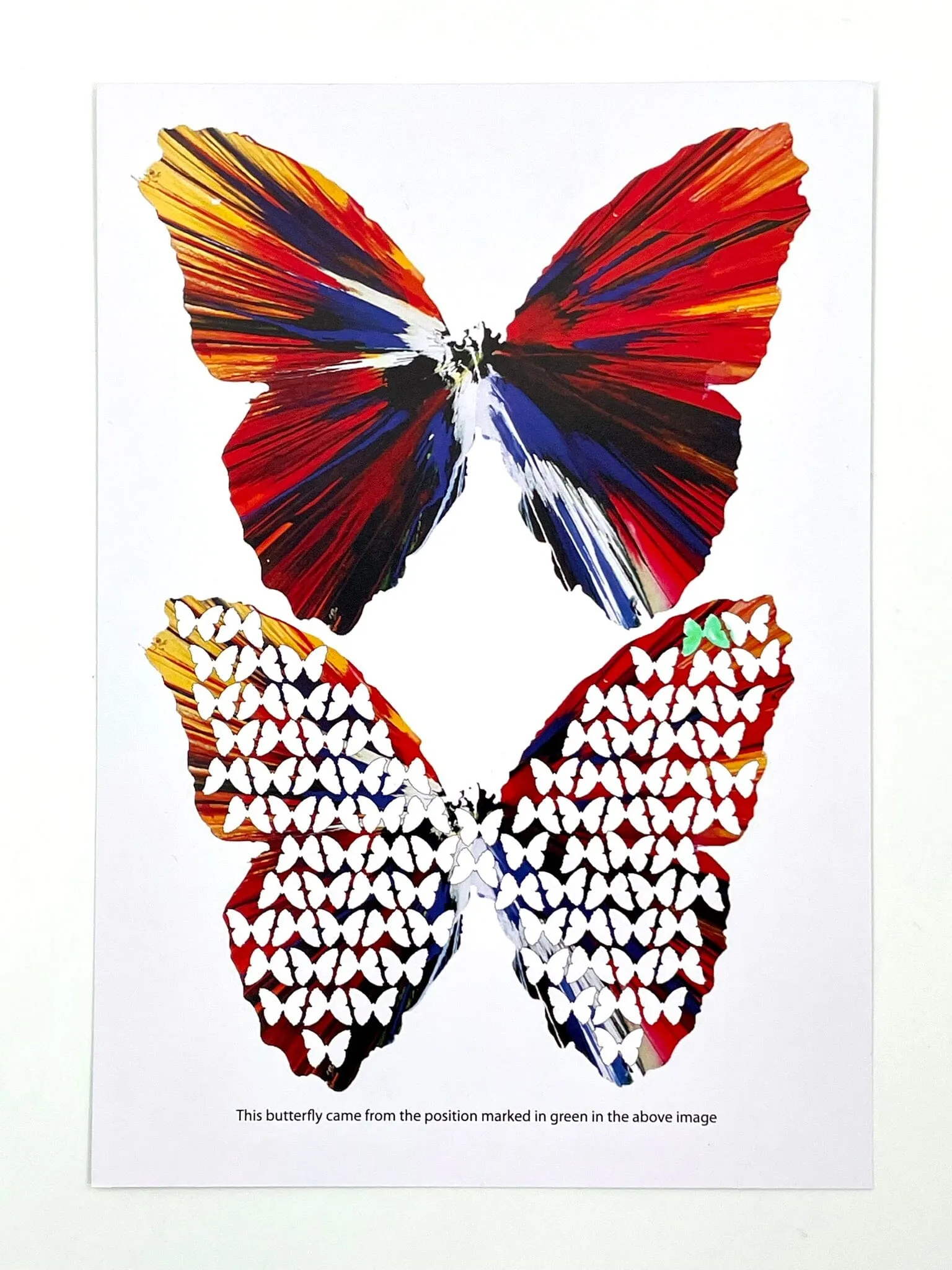 Mini Butterfly #49 (Framed)