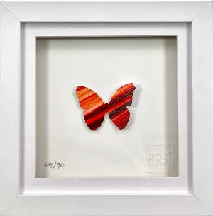 Mini Butterfly #49 (Framed)