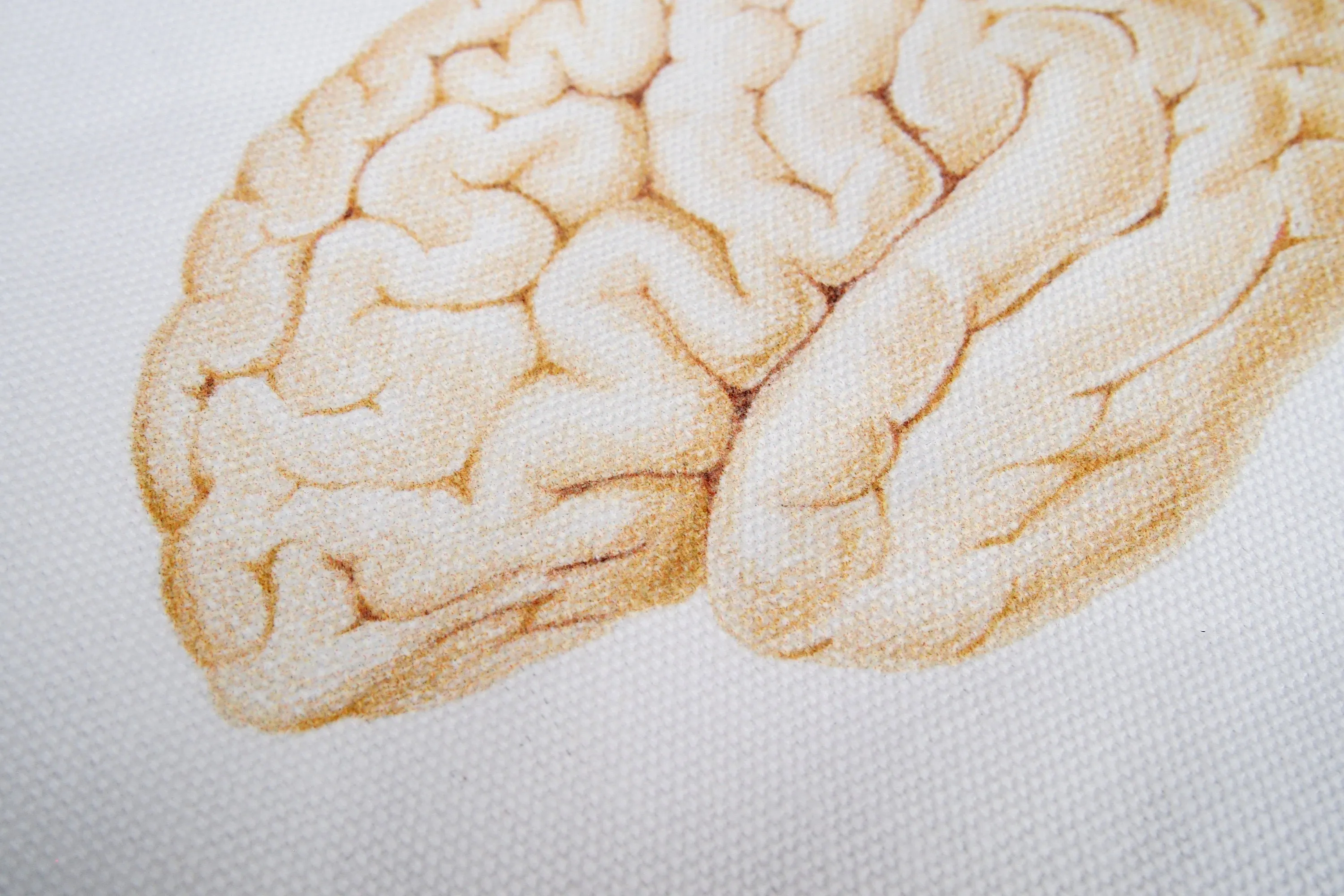 Multi Pocket Canvas Bag - Brain