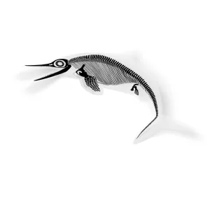Ophthalmosaurus Fossil Ichthyosaur Sticker