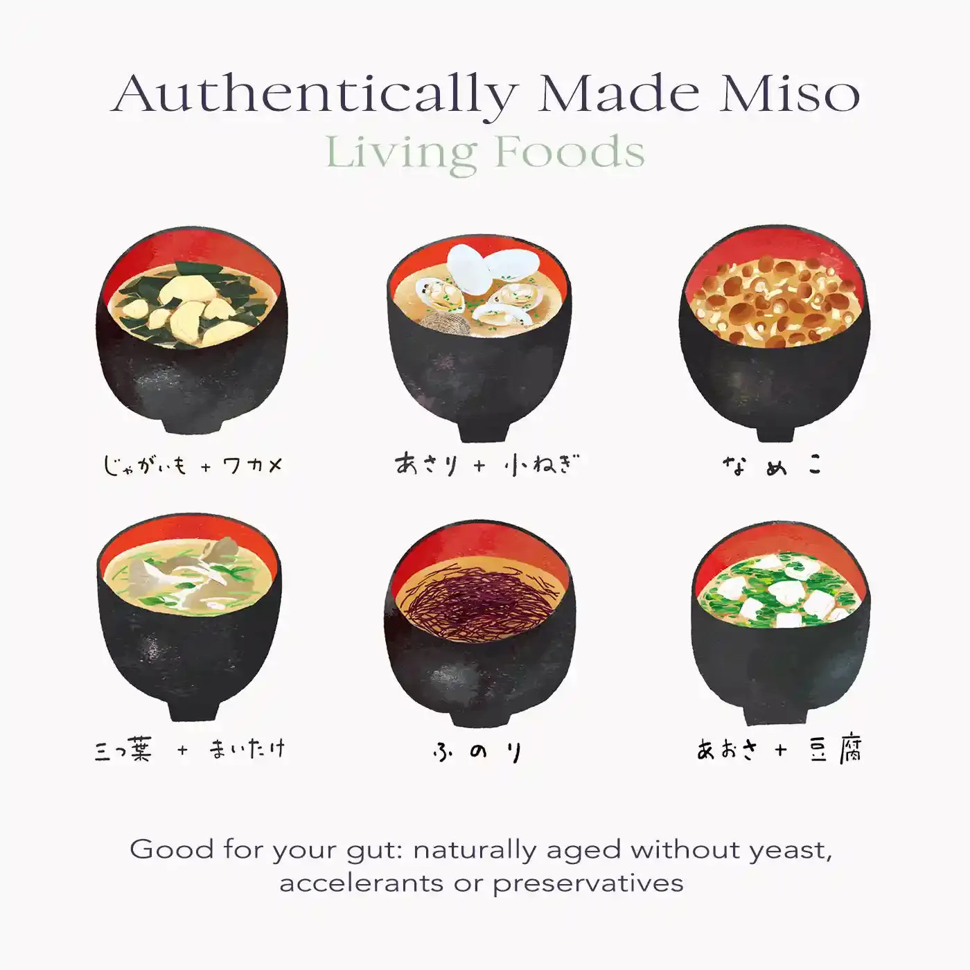 Organic Chickpea (Soy free) - Unpasteurised Living Miso (500g)