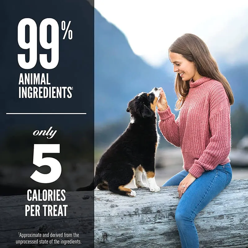 Orijen Dog Freeze-Dried Treat Tundra