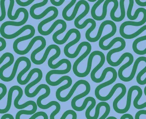*PRE-ORDER* Groove, Unspooled in Spring