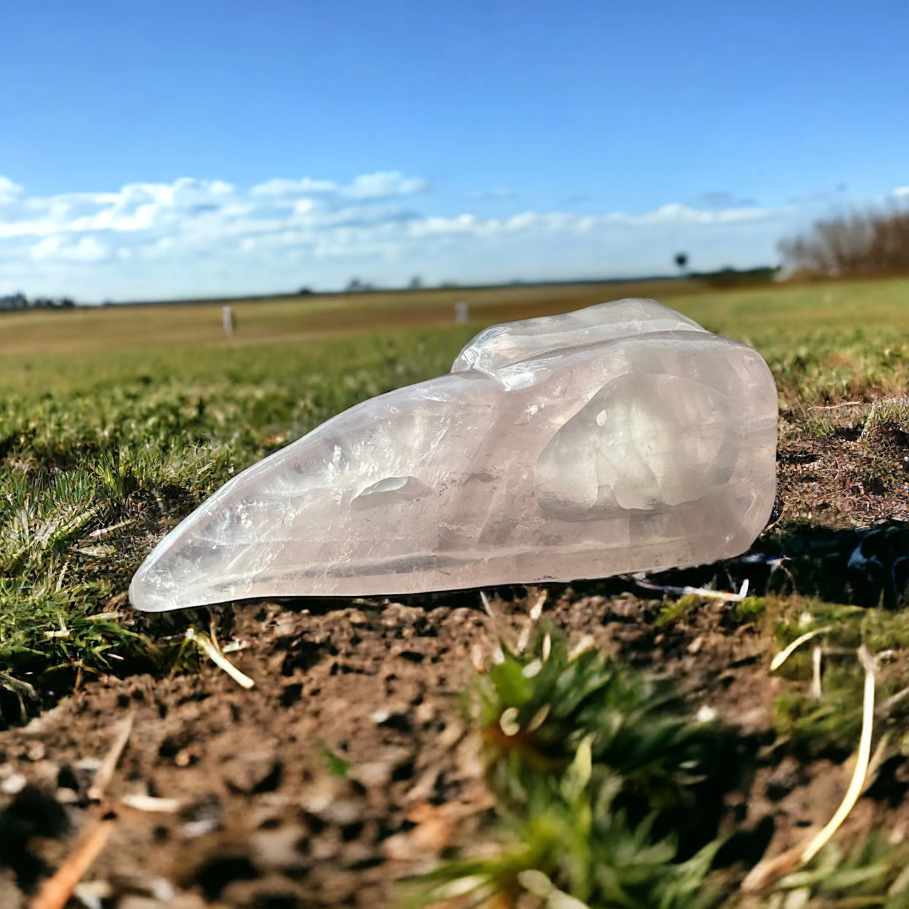 Rose Quartz Raven Skull