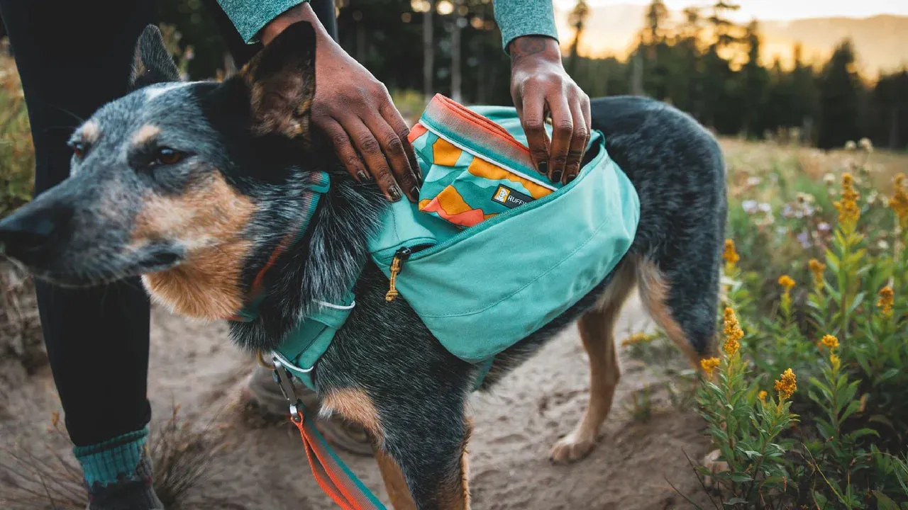 RUFFWEAR Quencher Packable Dog Bowl - Spring Mouintains