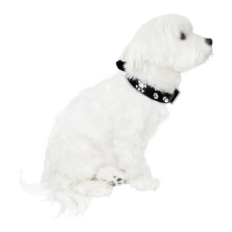 Skull Dog Collar