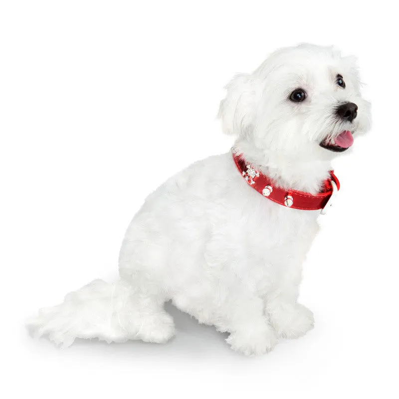 Skull Dog Collar