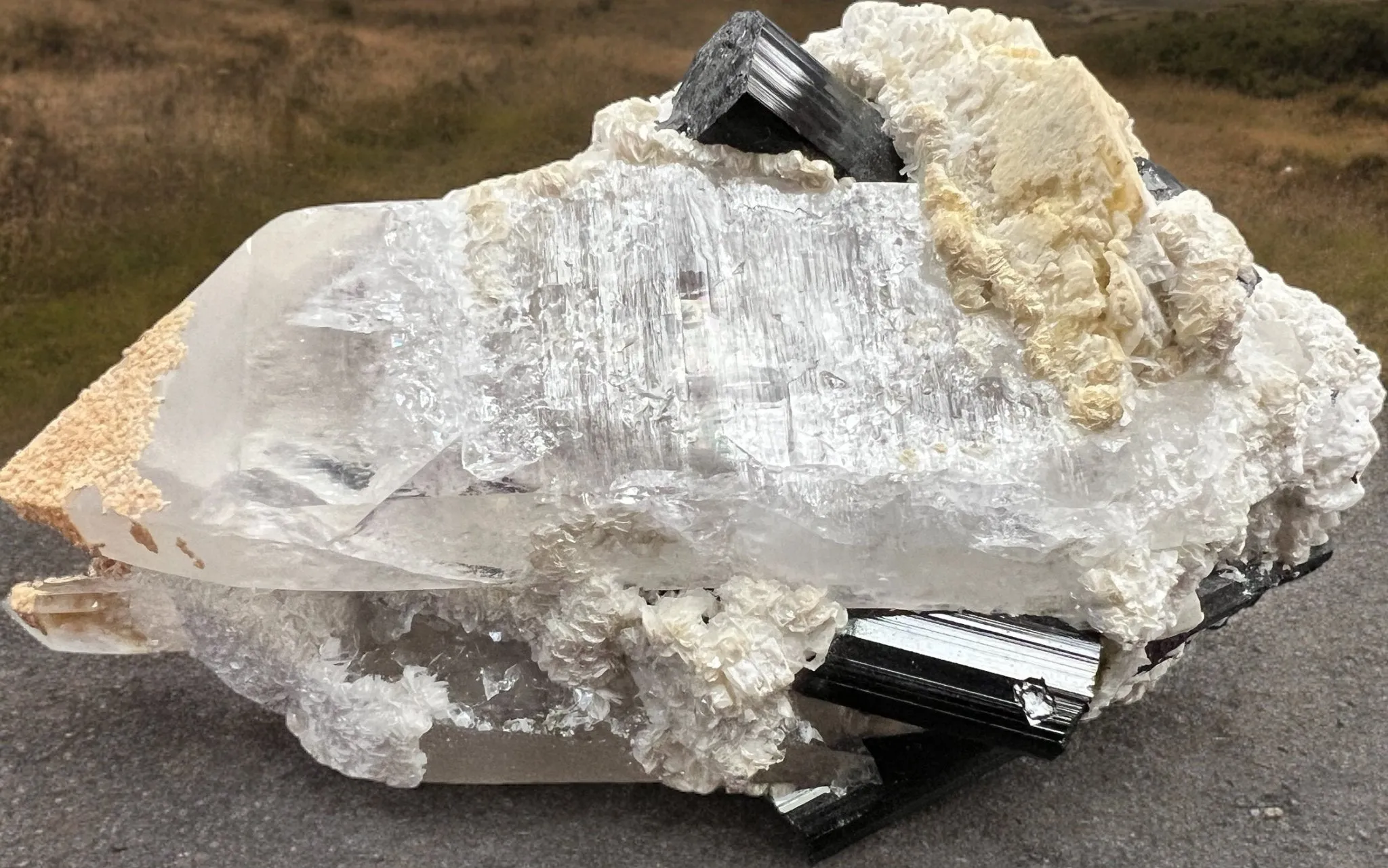 Smoky Quartz Lemurian Point with Schorl (Black Tourmaline) Crystals - 490 grams