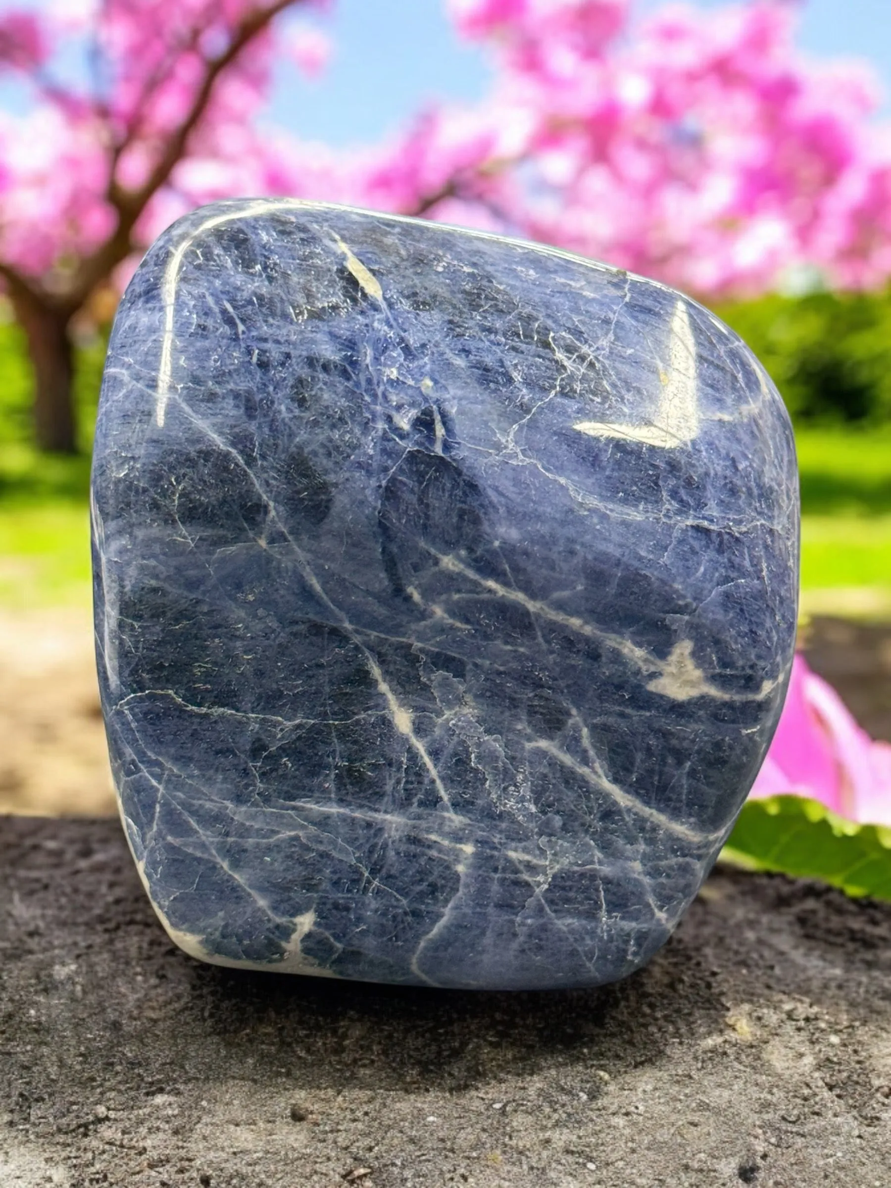 Sodalite Free Form - Polished - Dark Blue Crystal