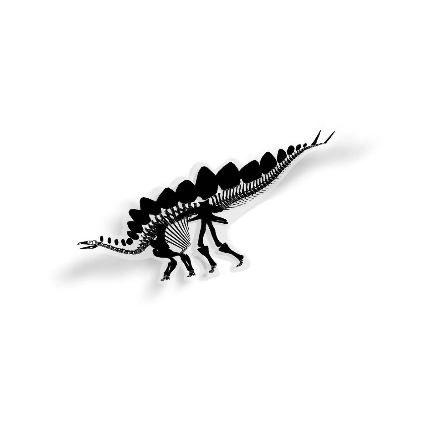 Stegosaurus Fossil Dinosaur Sticker
