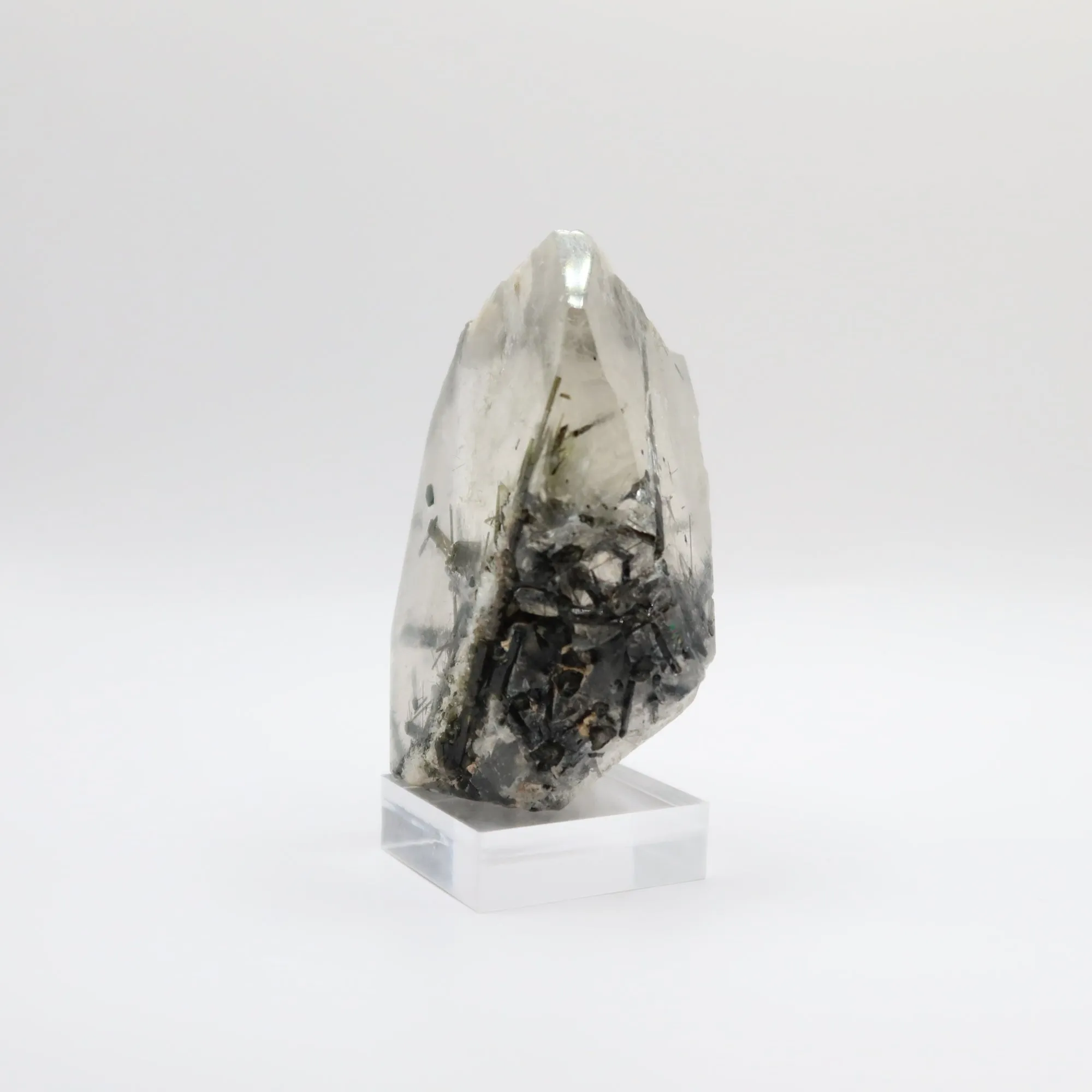 Tourmalinated Quartz (III)
