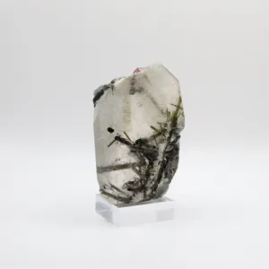 Tourmalinated Quartz (III)