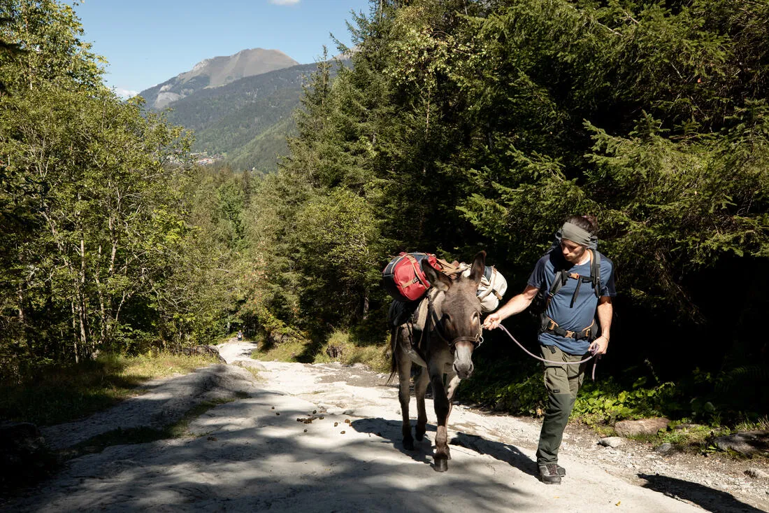 Trekking Carry Bag - 40 L to 60 L - DUFFEL 500 EXTEND