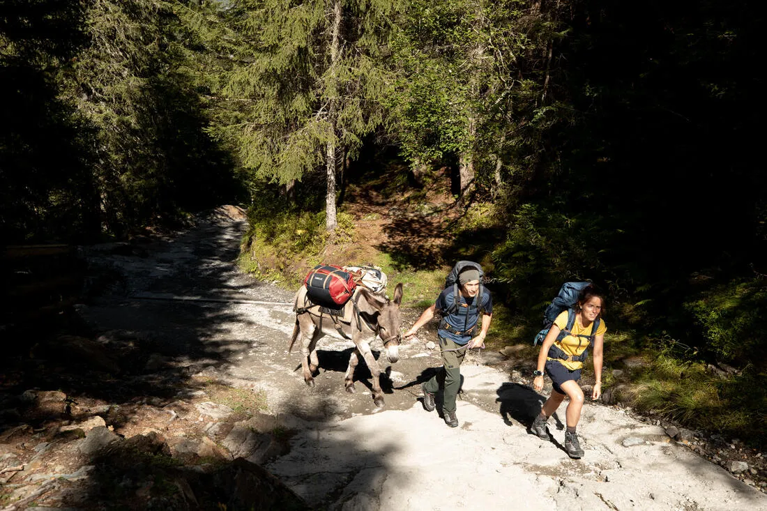 Trekking Carry Bag - 40 L to 60 L - DUFFEL 500 EXTEND