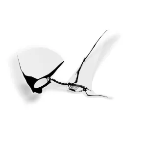 Tupandactylus Fossil Pterosaur Sticker