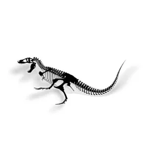 Tyrannosaurus Fossil Dinosaur Sticker