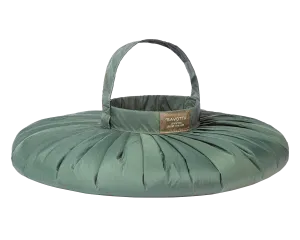 Water carrying bag