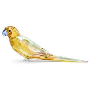 YELLOW PARAKEET 5619217